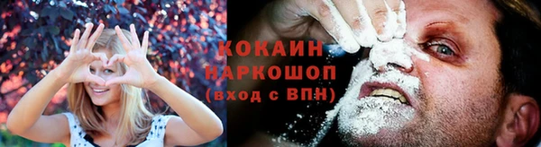 мдпв Гусев