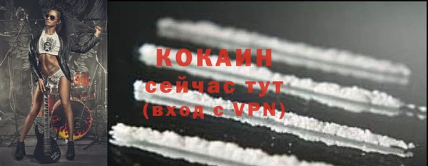 мдпв Гусев