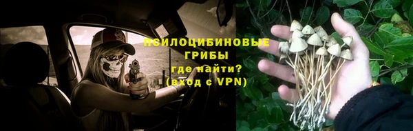 мдпв Гусев