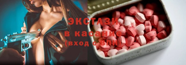 мдпв Гусев