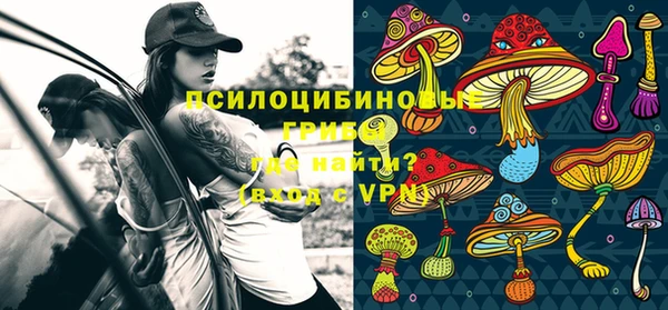 ALPHA PVP Гусиноозёрск