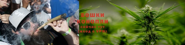 мдпв Гусев