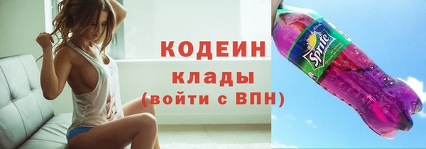 мдпв Гусев