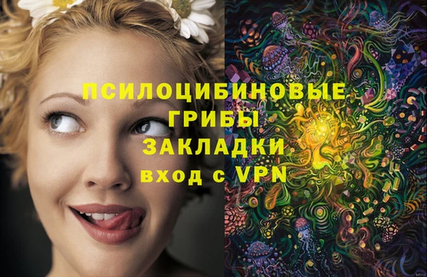 соль курить ск Гусь-Хрустальный