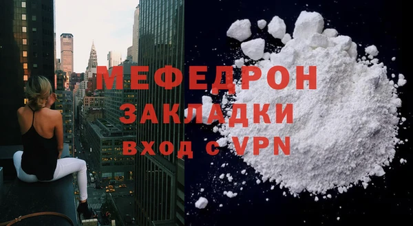 мдпв Гусев