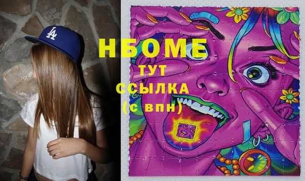 мдпв Гусев