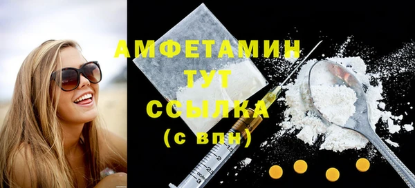 мдпв Гусев