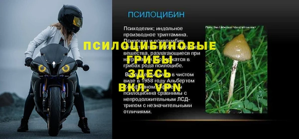 ALPHA PVP Гусиноозёрск