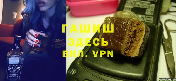 мдпв Гусев