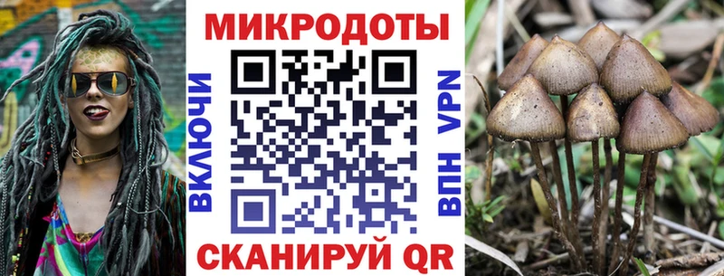 Галлюциногенные грибы прущие грибы  Купить  Новосокольники 